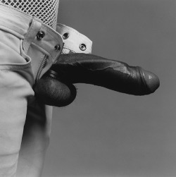 Bone8210:  Follow Me At Bone8210.Tumblr.com
