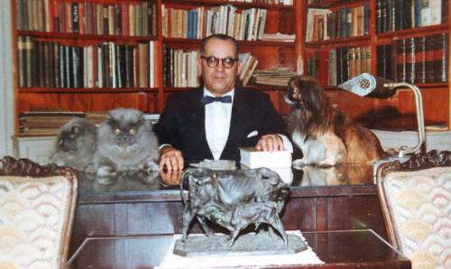 One of the greatest writers of the XXth century, Brazilian Joao Guimaraes Rosa with two cats and a d