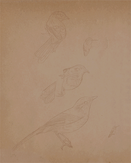 lohrien:  “Something in the air” Illustrations by Richard Wilkinson 