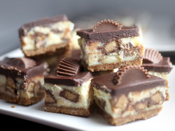 do-not-touch-my-food:  Peanut Butter Cup