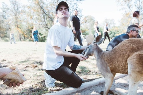 actualbrendonurie: sarahurie:  hi @lonepinekoala.