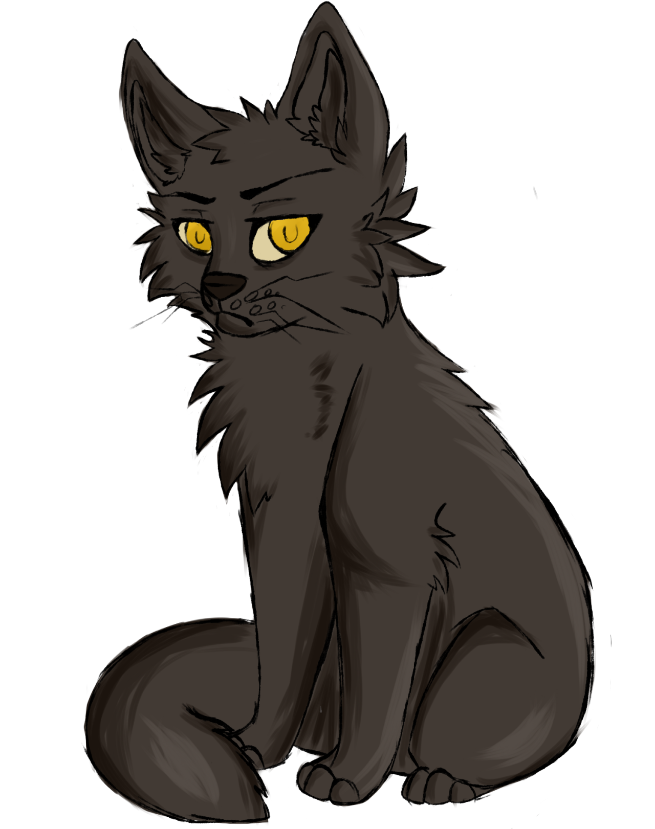 All Warrior Cats Books, Wiki