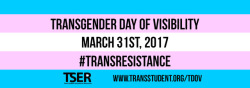 gaywrites: We see you. We hear you. You matter. You are perfect. Transgender Day of Visibility | March 31, 2017 