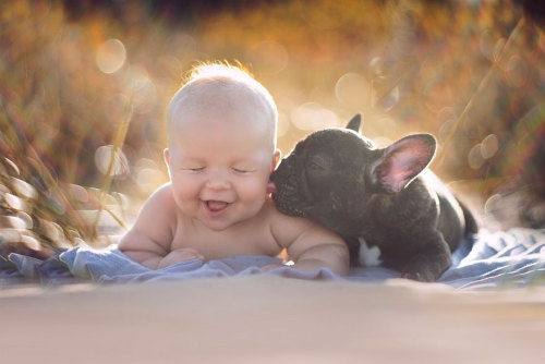 daddys-little-p-r-i-n-c-e-s-s:  boredpanda:    Baby & Bulldog Born On Same Day Think They’re Brothers And Do Everything Together    oh my goD 