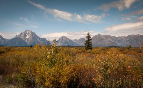 Fall in the Tetons by Tina Blackwell