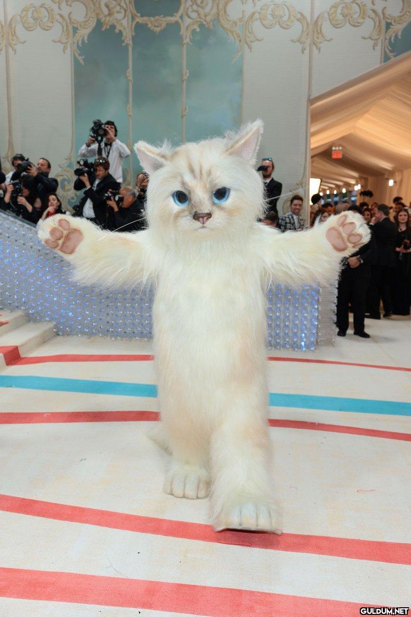 melih gökçek in met gala...