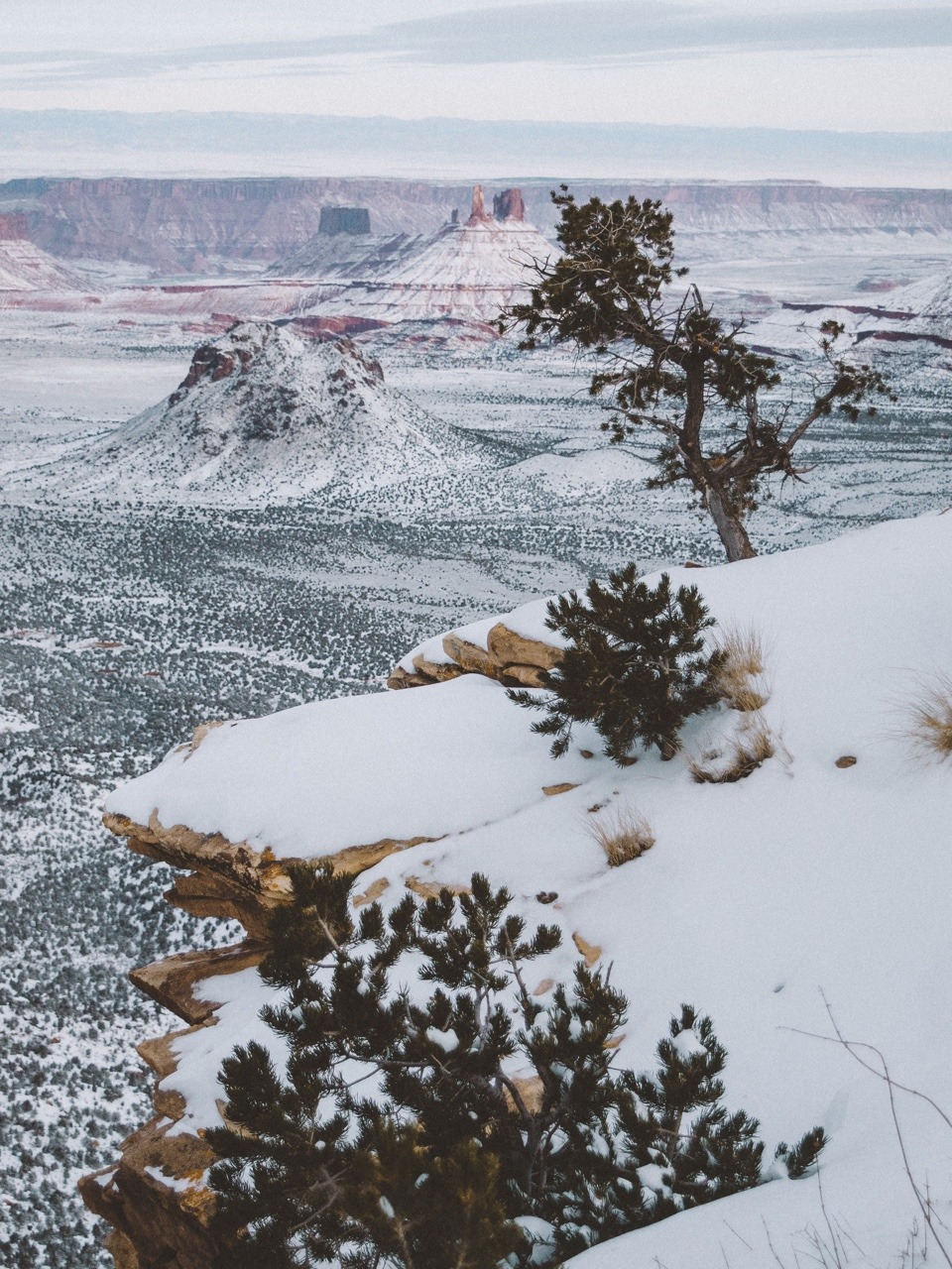 thejeffrose:  Castle Valley, Utah