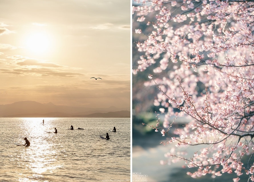 floralls:by SNOPAN PHOTOGRAPHY
