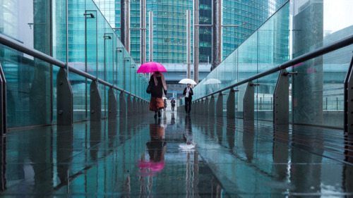 lkazphoto:Fuchsia, Shiodome （汐留）Follow me on Instagram — @eyexplor