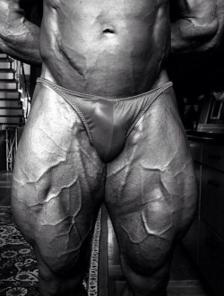 musclebull23:  