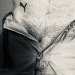 ptipuma:Ph. Patrice b François &copy; PbFj
