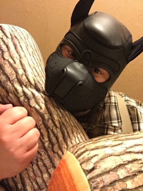 andrepup: Lumberjack pup hehe pretty good with “wood”. :P