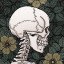 this-wild--life