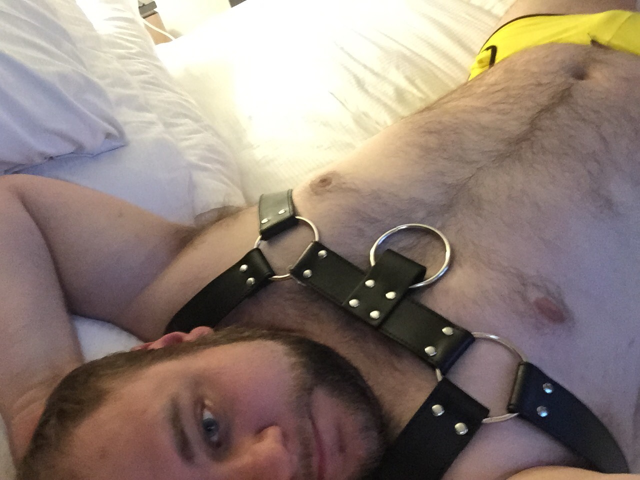 polytriadcigarcub:  Feeling fucking amazing in my new harness!!