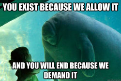 saxypone:  akimaru80:  Manatee Effect   This