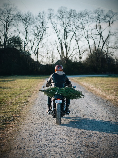 It’s that time again! Happy Holidays from Nashville, Tennessee! Photo by Yve Assad