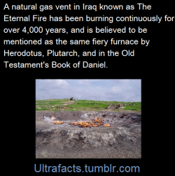 ultrafacts:     Sources: 1 2 Follow Ultrafacts for more facts   
