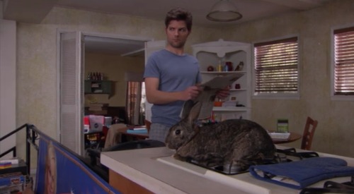 ben wyatt