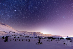 ech0ed:  Cedars of Lebanon Milky Way (by