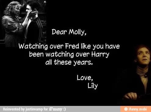 daily-harry-potter:  My brother, recently graduated likes to try to make me have