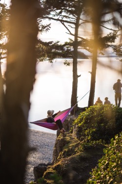 theencompassingworld:  bentmatthews:  Washington coast hammock hangs.   @bentommat on Instagram   The World Around Us