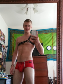 takeitlikeabitchboy:  littlebearchaser:  My harness came in on Thursday and needless to say that makes me a very happy boy.  Hot boy! 