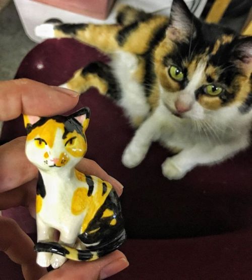 My calico cat figurine has Loretta’s seal of approval  . . . #ceramics #handmade #pottery #ins