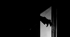 cinesolo:horror flicks:  Arsenic and Old Lace · 1944Where did you get that face? Hollywood?