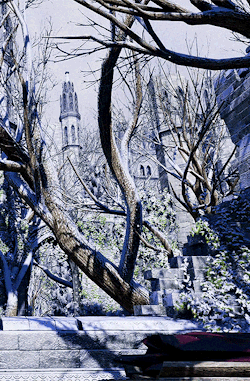 gamerism:ALTALTALTALTALTALTALTALTDRAGON AGE INQUISITION: EMPRISE DU LION - SULEDIN