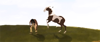 spiritstallion:  .. because we never really move on, we never really forget. 