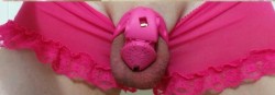 faggotlover:  You would be amazed how much a Faggot can fit into a chastity device. Daddy knows.  :)