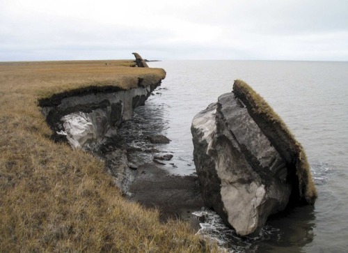 Collapse This piece of coastal sea cliff is found on Alaska’s North Slope at a location called