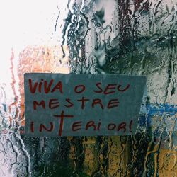 Vênus é um garoto