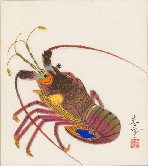 amare-habeo: Ohno Bakufu (大野麦風) (Japanese, 1888 - 1976)  Spiny Loobster, 1950 Ohmi Gallery, Jap