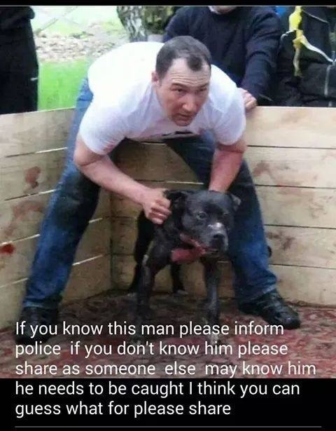 sportbob: Please repost this. Help bring this scumbag to justice. I hope this piece of shit gets bur