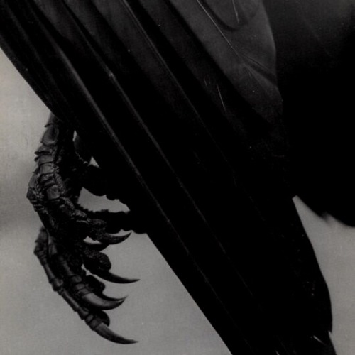 Slavic Mythology From A To Z: 