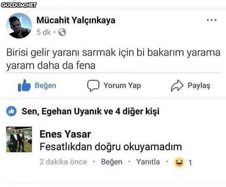 Mücahit Yalçınkaya
5...