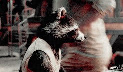 MCU Meme - eight characters; [2/8] Rocket Raccoon