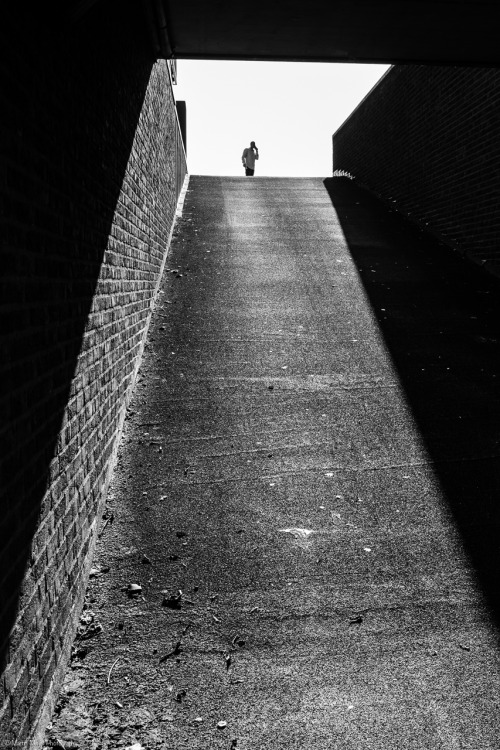 martinmeijer:  The call | Haarlem 2014 © Martin Meijer Photography Welcome to all me new ‘followers’ and thanks for all my old ‘followers’ who give me continues support here on Tumblr. To be honest I could not keep it up without your support,