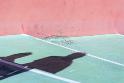 untrustyou:  Patrícia Pereira 