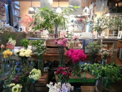 hungeredpine:  the sandwich shop had a florist