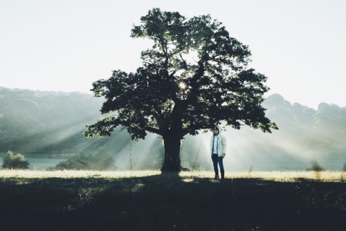 enchantedengland:dpcphotography:Morning, at Chatsworth EstateThese are just gorgeous. And ethereal. 