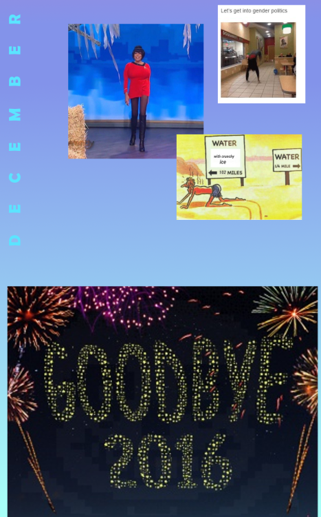 hellalesbiangirl: rubbertplant:  remembering the memes of 2016 you’ve come to love… or 