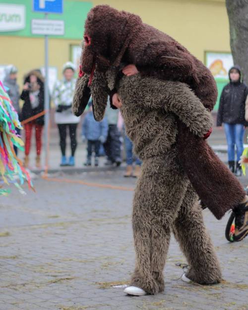 lamus-dworski:Celebrations known as Gody Żywieckie (or Dziady Żywieckie) in Milówka, Poland. 