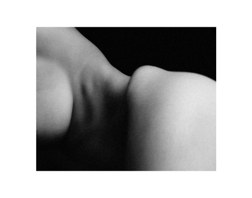 Porn Pics Donnella’s torso ©2013 Ken Davie