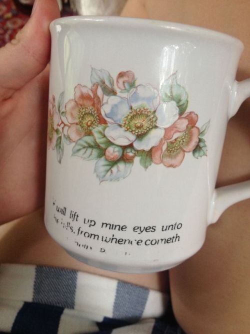 freckled-nymph:  comparison of the wild flowers growing beside the market and my great grandmothers mug 