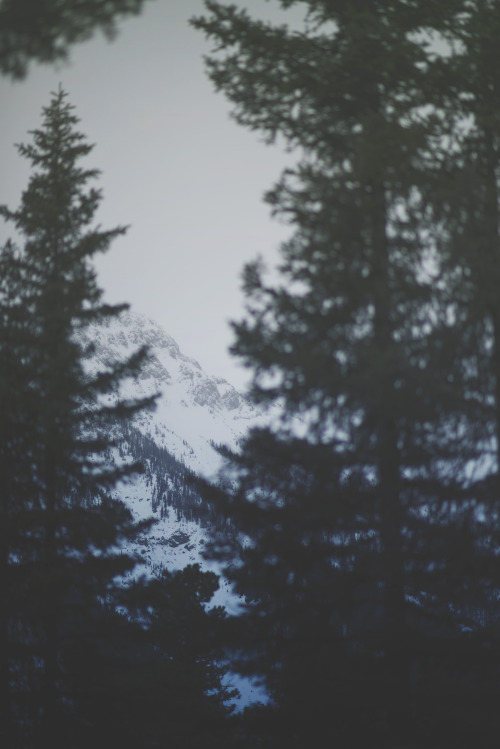 teapalm:Mountainsssssssss yayby Tasha Marie