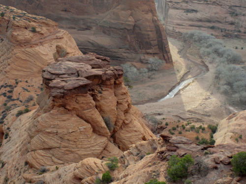 uemou:Canyon de Chelly from trail by oldmantravels