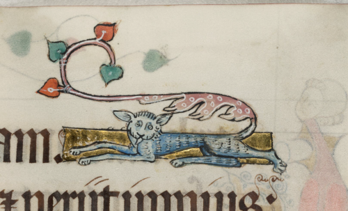 doggo the luttrell psalter, c. 1325 the british library, ms 42130, f. 22r