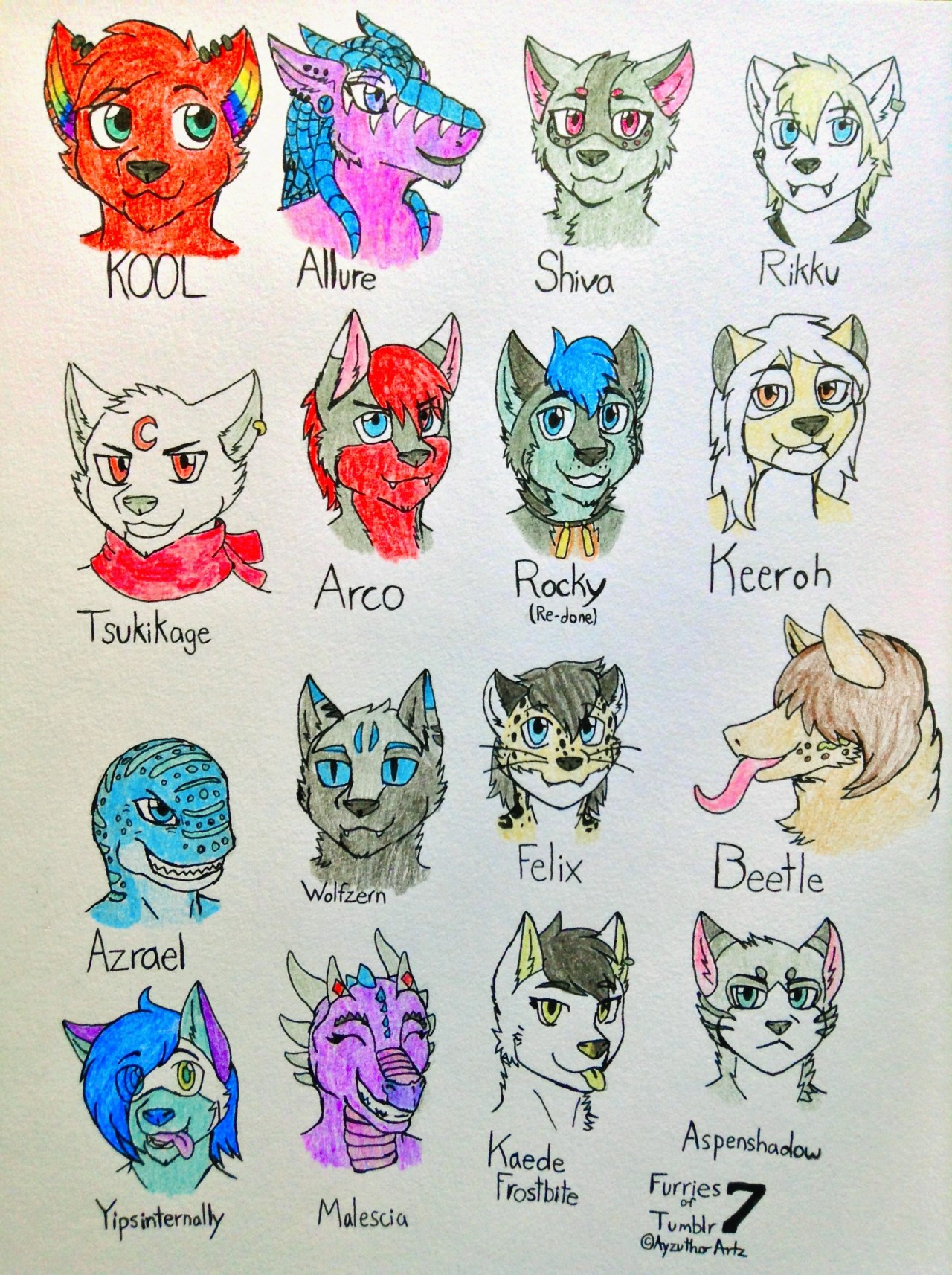 furrywolflover:  ayzutho-the-catfox:  Furries of Tumblr Collection  Aww I dont see